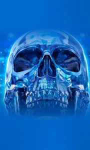 Crystal Skull